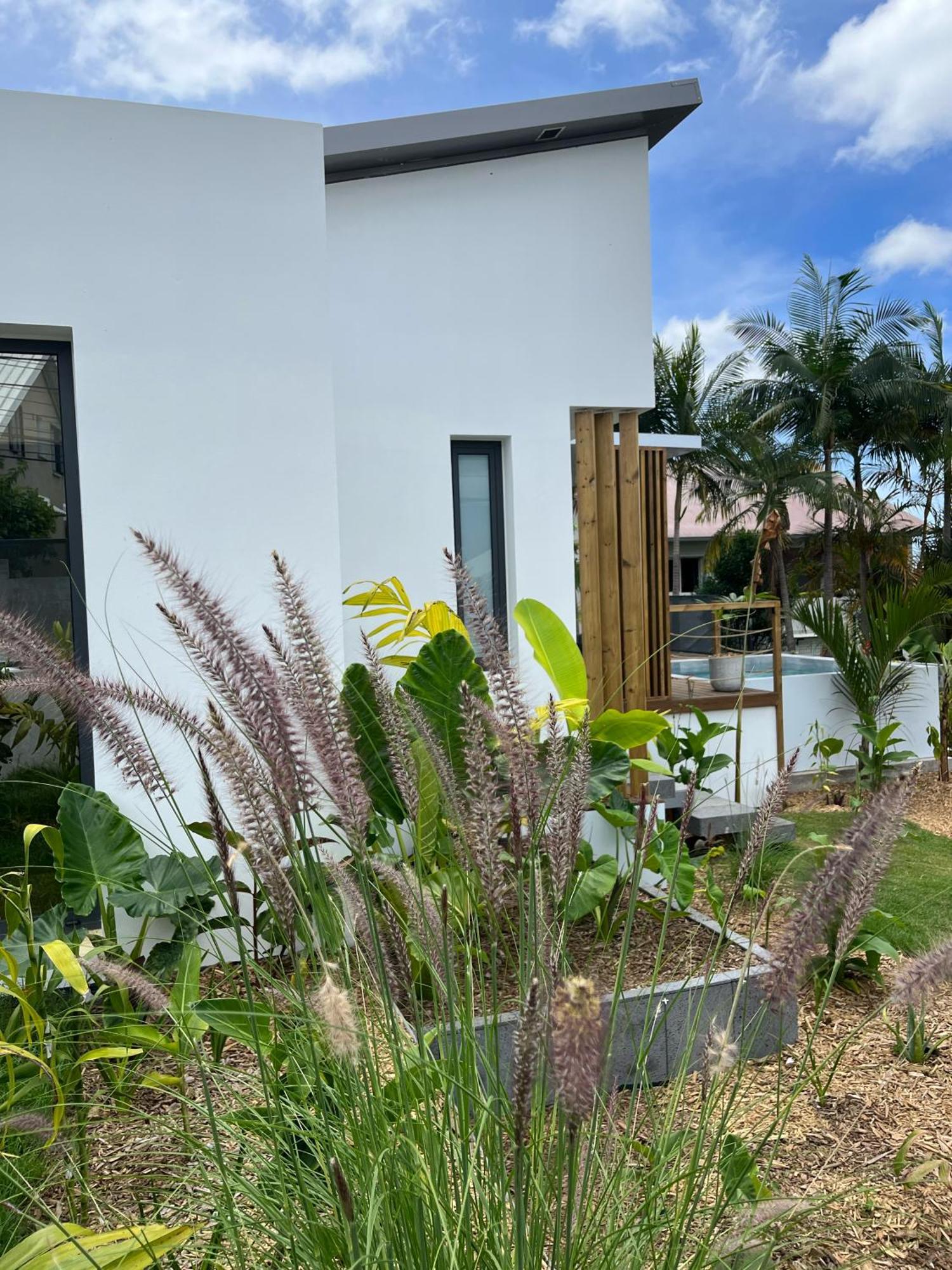 L'Empreinte-Oasis De Serenite Au Coeur D'Un Jardin Tropical Le Tampon Exterior foto